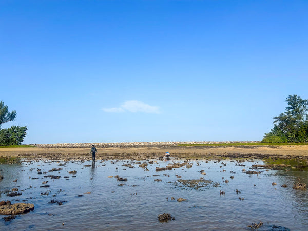 Wabi Sabi in Singapore: Finding Beauty in the Unexpected at Pulau Hantu